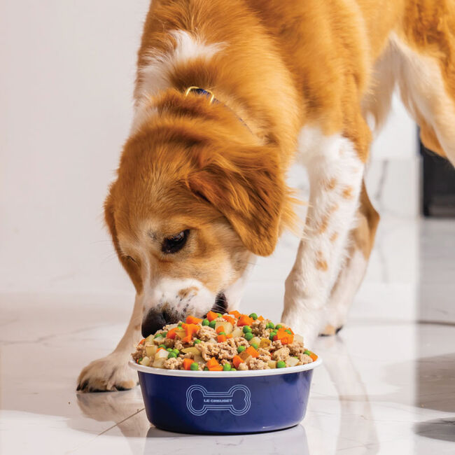 Taz&oacute;n para Mascotas, view 3